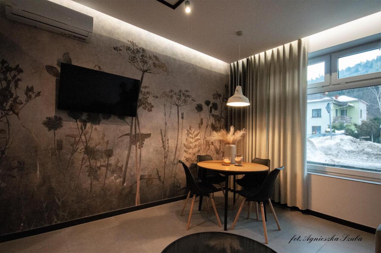 שצ'צ'ירק Grey Apartamenty Przy Skoczni & Ski Bus מראה חיצוני תמונה